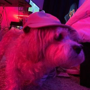 Meet your Posher, Ivan